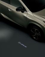 Lexus NX300 Bronze Edition 2020 года (JP)